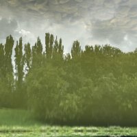 Дождливое небо :: Анна Камс