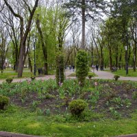 В Курортном парке :: Gen В Курортном парке :: Gen