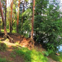 На берегу озера :: Андрей Снегерёв