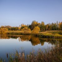 Осень :: Владимир Мисик