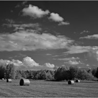 Летний этюд :: Валентин Котляров