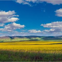 Родные просторы :: Алексей Мезенцев