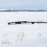 Волга :: **** vedin Волга :: **** vedin