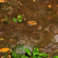 Когда нет солнца :: Юрий Гайворонскiий Когда нет солнца :: Юрий Гайворонскiий