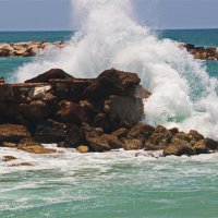 Хайфа 2025 :: Владислав Воровский 