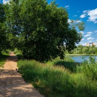 Лето на Мещерском озере :: Александр Синдерёв