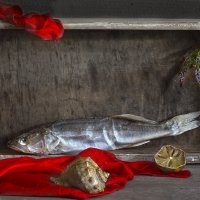 Сула :: Наталья S