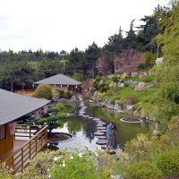 в японском саду :: Ольга 