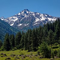 Гондарай :: Дмитрий Емельянов