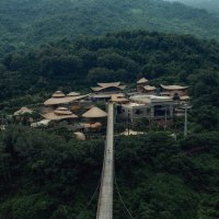 Реликтовые джунгли Янода :: Лилия .