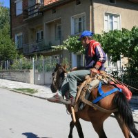 Сельский пастух :: Аркадий Басович Сельский пастух :: Аркадий Басович