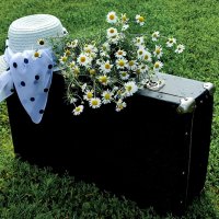 *** :: Валентина Богатко 