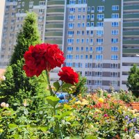 ,,, :: Сергей Тимоновский