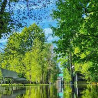 Лето :: Владимир Мисик