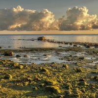 Рассвет :: Владимир Колесников Рассвет :: Владимир Колесников