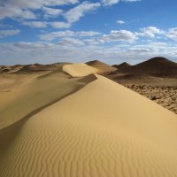 Дюна. :: unix (Илья Утропов)