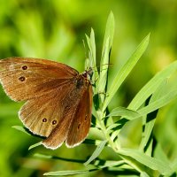 из сегодняшней съемки 2 :: Александр Прокудин