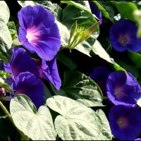 _____ :: Татьяна Касьяненко