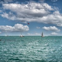 Регата :: arkadii 