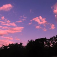 Июльский вечер :: Людмила Смородинская