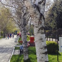 В парке санатория Виктория :: Gen 