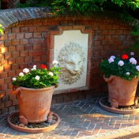 Отдых на донской земле (7)... :: Тамара (st.tamara)