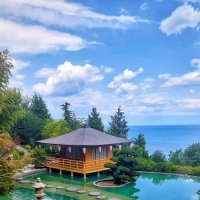 Японский сад :: Оксана Н.