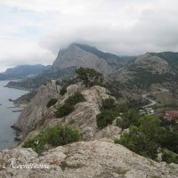 Природа Крыма :: Amazing Cosmea