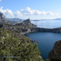 Природа Крыма :: Amazing Cosmea Природа Крыма :: Amazing Cosmea