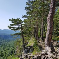 ЛАГОНАКИ :: Tata Wolf