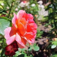 ,,, :: Сергей Тимоновский ,,, :: Сергей Тимоновский