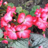 ,,, :: Сергей Тимоновский