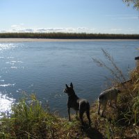 Вперёдсмотрящий :: Anna Ivanova