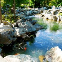 Японский сад. Парк Краснодар. :: Alexey YakovLev