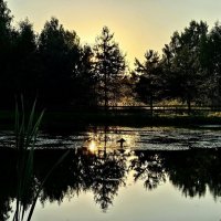 Закат :: Михаил Свиденцов Закат :: Михаил Свиденцов