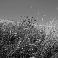 . :: Алексей Хвастунов