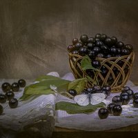 * :: Svetlana Galvez