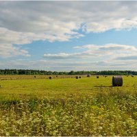 "...Я буду долго гнать велосипед..." :: Валентин Котляров