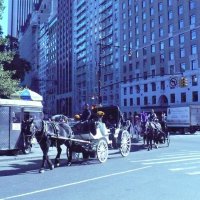 Нью-Йорк  Октябрь 2013-го года ХХ-го века... :) :: Валерий Кокорев