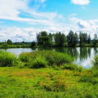 Природа Смоленщины в конце июля (репортаж из поездок по области). :: Милешкин Владимир Алексеевич Природа Смоленщины в конце июля (репортаж из поездок по области). :: Милешкин Владимир Алексеевич