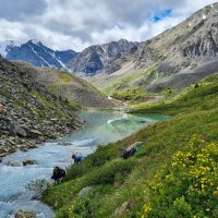 Ручей :: Виктор Фоменко