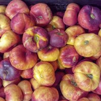 Нектарины :: Валерий Иванович