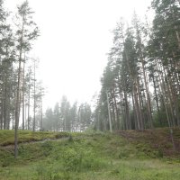 Остановился ледник :: Максим Егоров