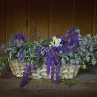 *** :: Надежда Куркина *** :: Надежда Куркина