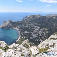 Природа Крыма :: Amazing Cosmea