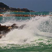 Хайфа 2025 :: Владислав Воровский 