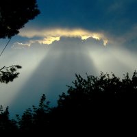 Посадка "рептилоидов" :: Владимир Шишкин Посадка "рептилоидов" :: Владимир Шишкин