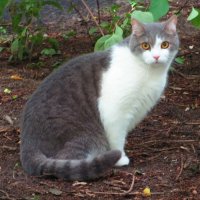 На прогулке :: Андрей Снегерёв