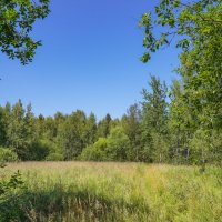 В летний полдень... :: Владимир Жданов В летний полдень... :: Владимир Жданов