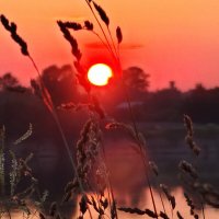 Закат :: Андрей 